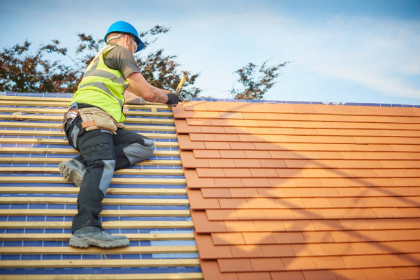 Best Roof Insulation Installation  in Palm Coast, FL